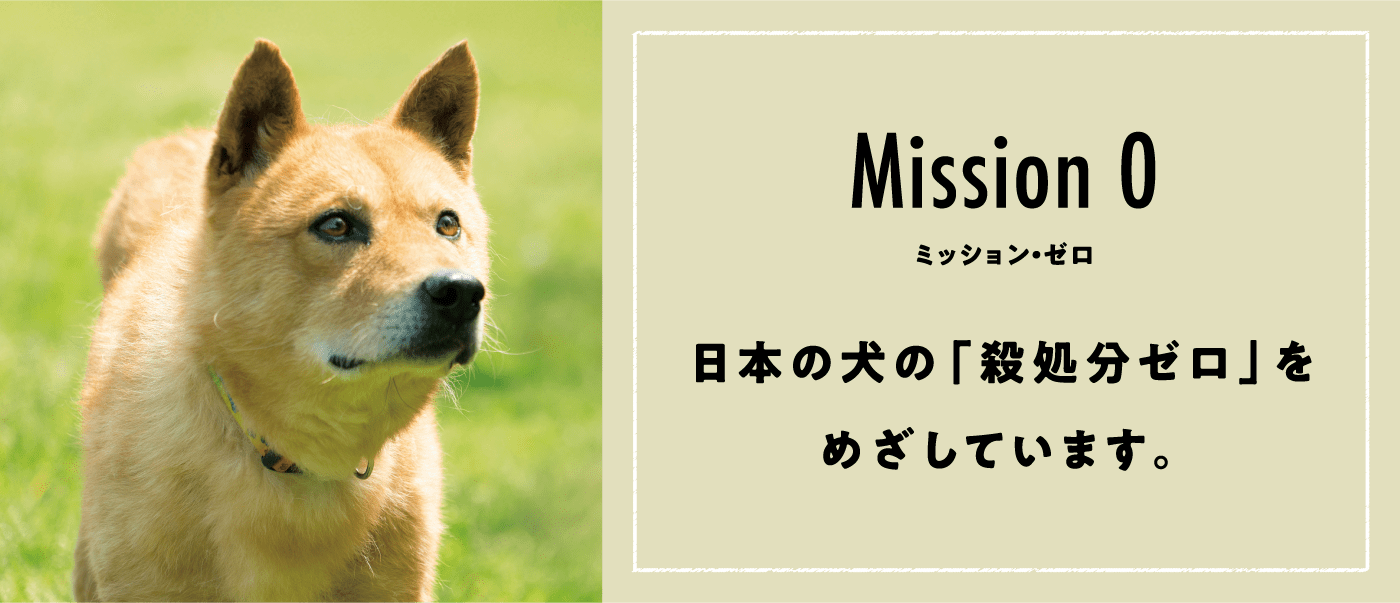 Misson 0 ミッション・ゼロ 日本の犬の「殺処分ゼロ」をめざしています。